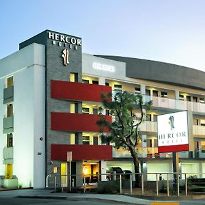 Hercor Hotel - Urban Boutique